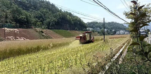 中峰镇吹响环境治理“冲锋号” 百日攻坚守护绿水蓝天